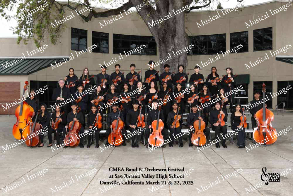 Musical Images